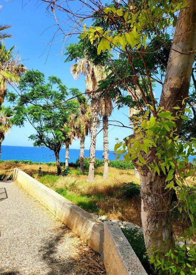 Villa Aphrodite By The Sea Paphos Ngoại thất bức ảnh
